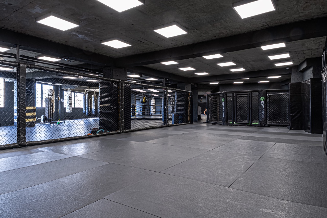 Mixed martial arts training zone with mats and striking space